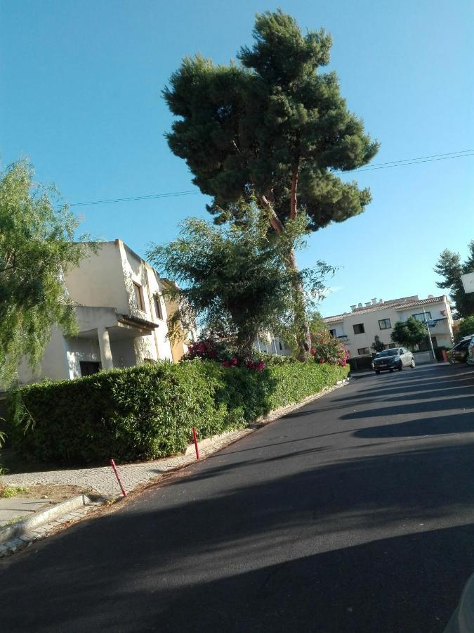 Casa Da Apartment *